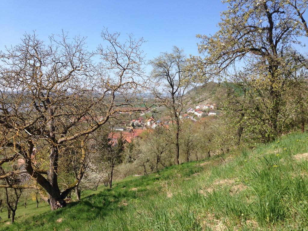Alte Rose Gasthaus Ebelsbach Kamer foto