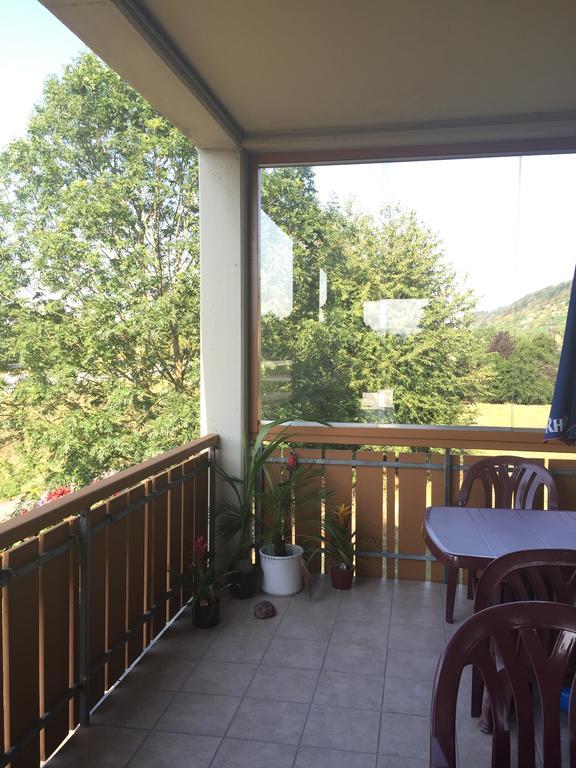 Alte Rose Gasthaus Ebelsbach Buitenkant foto